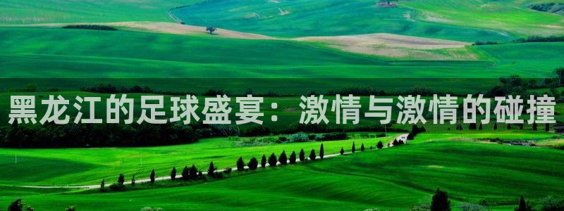 梦想家app下载：黑龙江的足球盛宴：激情与激情的碰撞