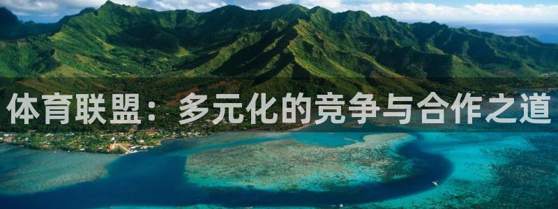新梦想国际娱乐：体育联盟：多元化的竞争与合作之道