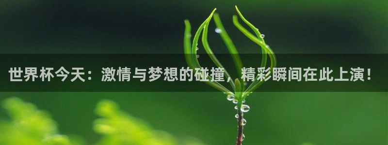 梦想国际棋牌官网：世界杯今天：激情与梦想的碰撞，精彩瞬间在此上演！