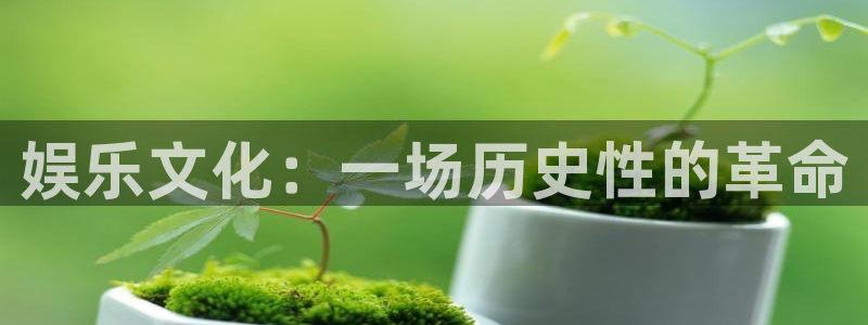 梦想国际app入口：娱乐文化：一场历史性的革命