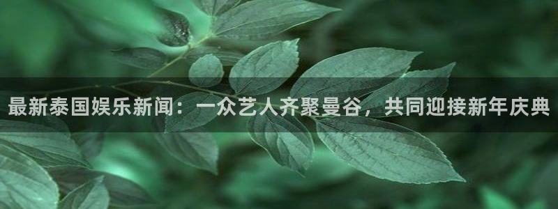 梦想国际app入口：最新泰国娱乐新闻：一众艺人齐聚曼谷，共同迎接新年庆典