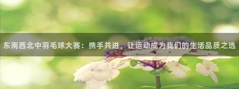 梦想国际娱乐：东南西北中羽毛球大赛：携手共进，让运动成为我们的生活品质之选
