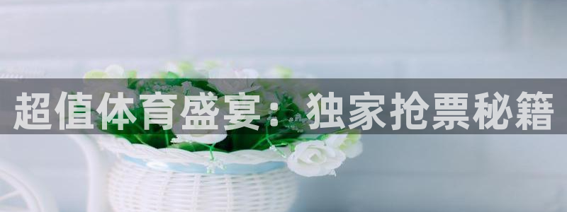 梦想国际官网：超值体育盛宴：独家抢票秘籍