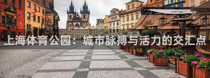 梦想国际娱乐网站pg：上海体育公园：城市脉搏与活力的交汇点