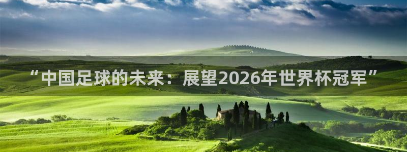 梦想之路游戏官网：“中国足球的未来：展望2026年世界杯冠军”