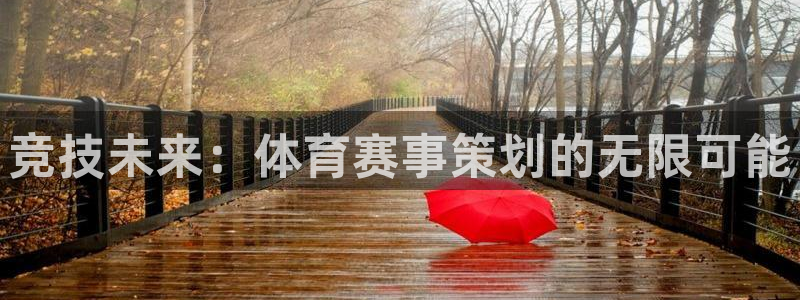 梦想国际娱乐网站：竞技未来：体育赛事策划的无限可能