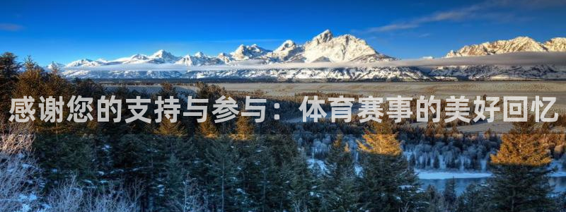 梦想娱乐：感谢您的支持与参与：体育赛事的美好回忆