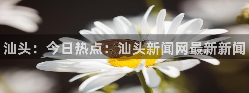 梦想国际娱乐app怎么下载：汕头：今日热点：汕头新闻网最新新闻