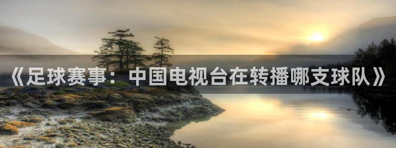 梦想国际上市了吗：《足球赛事：中国电视台在转播哪支球队》