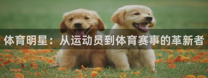 梦想国际pg怎么下载软件：体育明星：从运动员到体育赛事的革新者