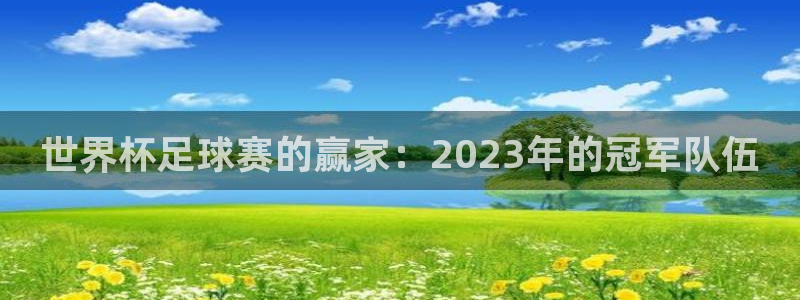 梦想世界手游官网：世界杯足球赛的赢家：2023年的冠军队伍
